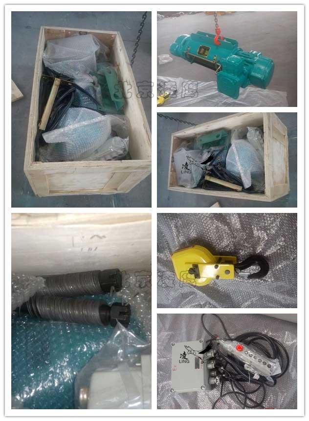 1t9m防爆鋼絲繩電動(dòng)葫蘆